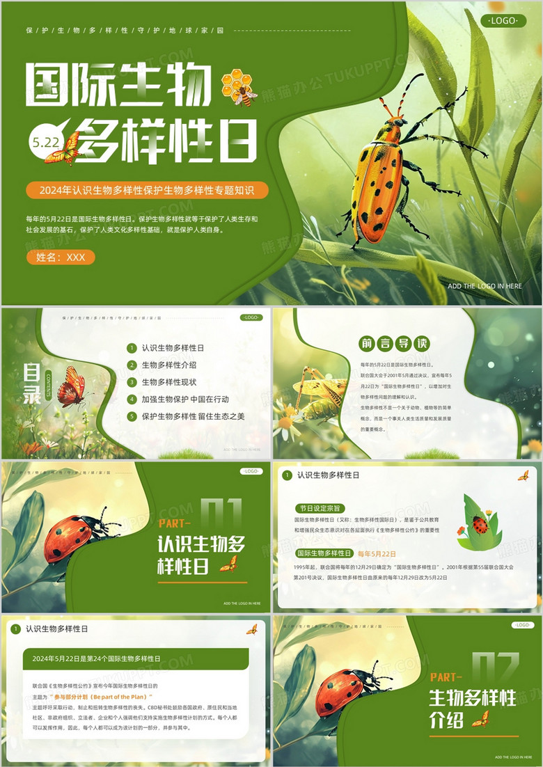 绿色插画风国际生物多样性日PPT模板