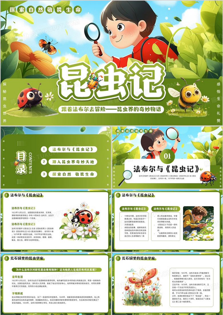 绿色插画风法布尔与昆虫记PPT模板