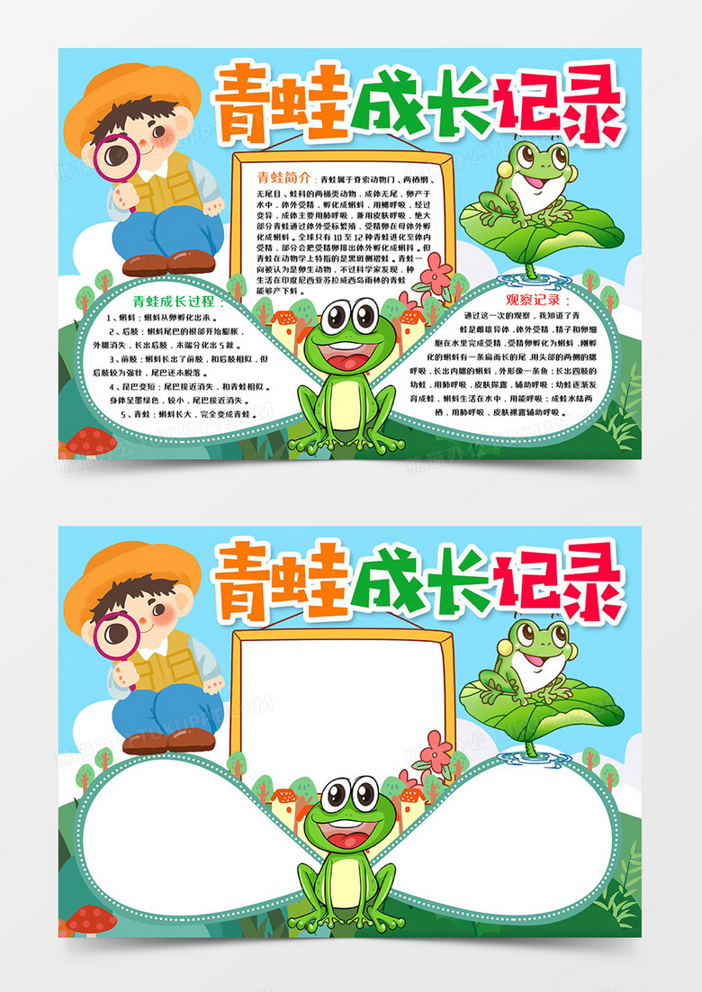 青蛙成长记录青蛙成长观察记录Word小报模板