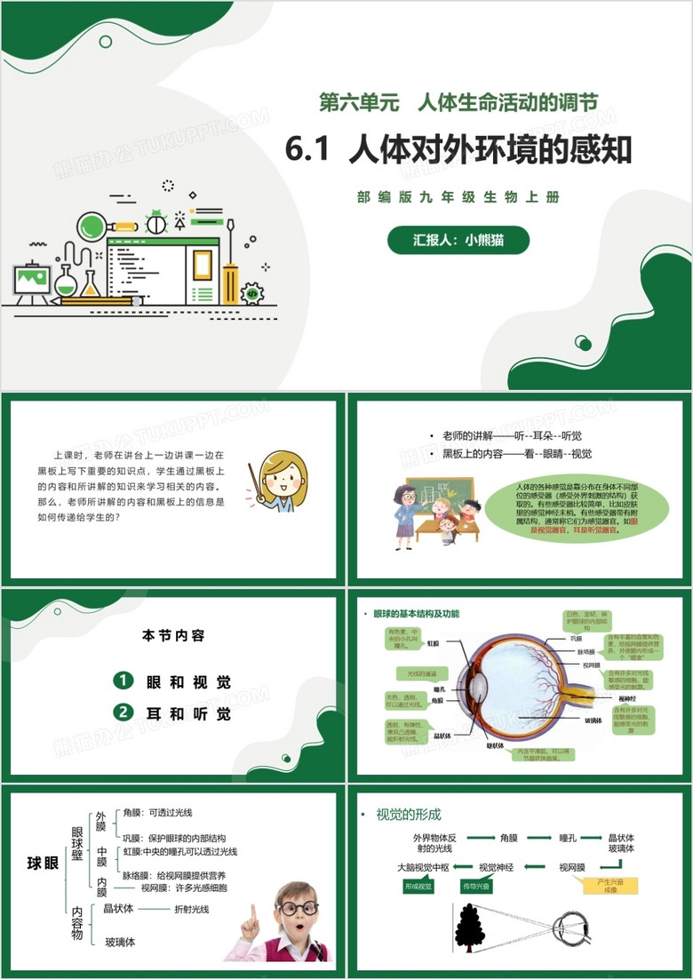 部编版九年级上册人体对外环境的感知课件PPT模板