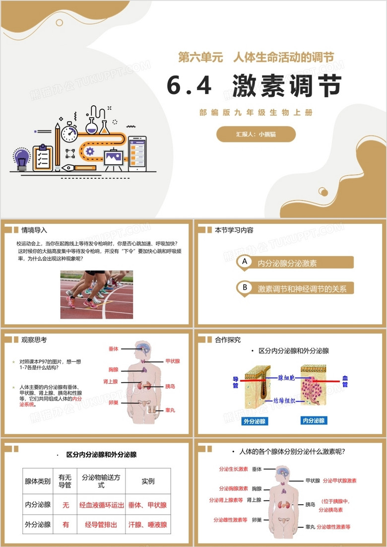 部编版九年级上册激素调节课件PPT模板