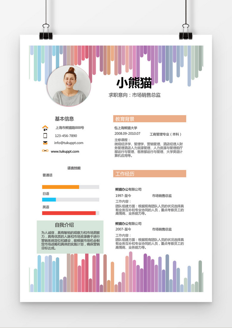 彩虹风格市场销售总监求职简历word简历模板