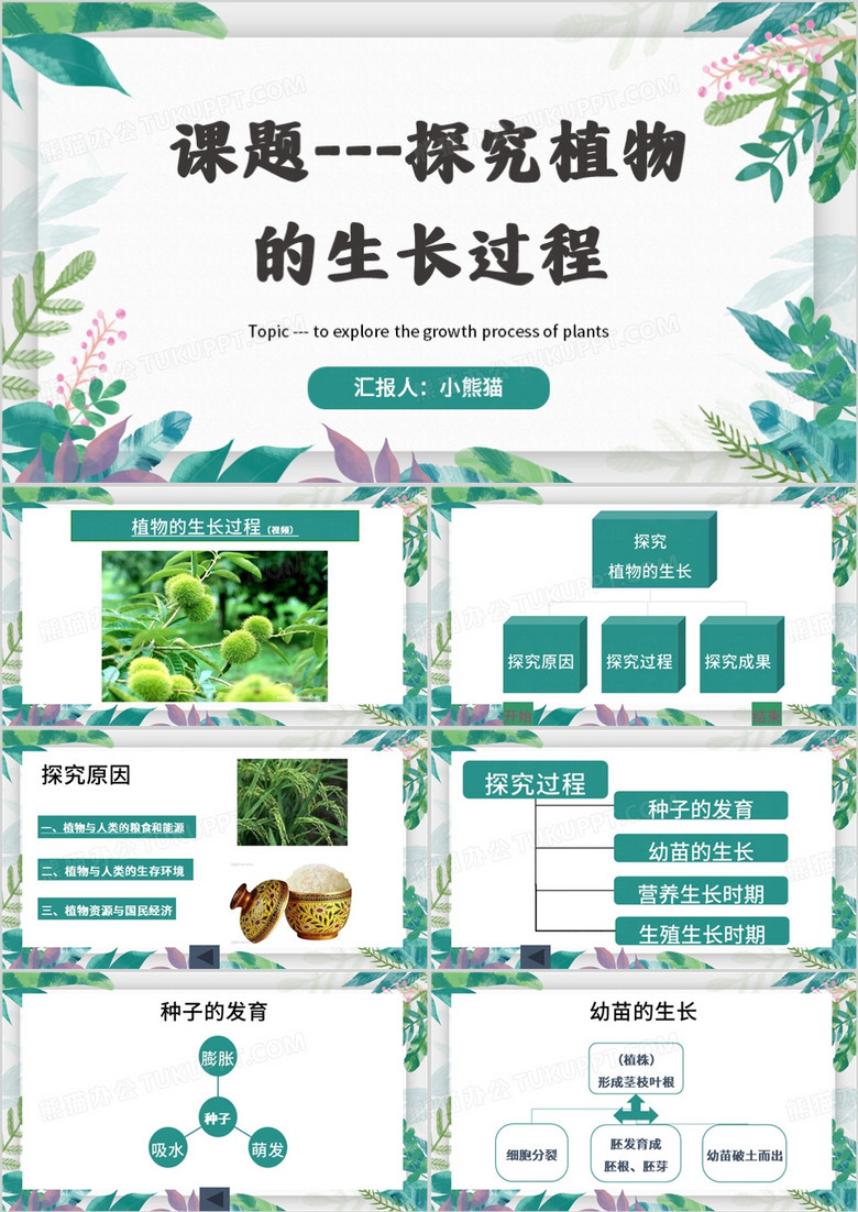 绿色清新风探究植物的生长过程PPT模板
