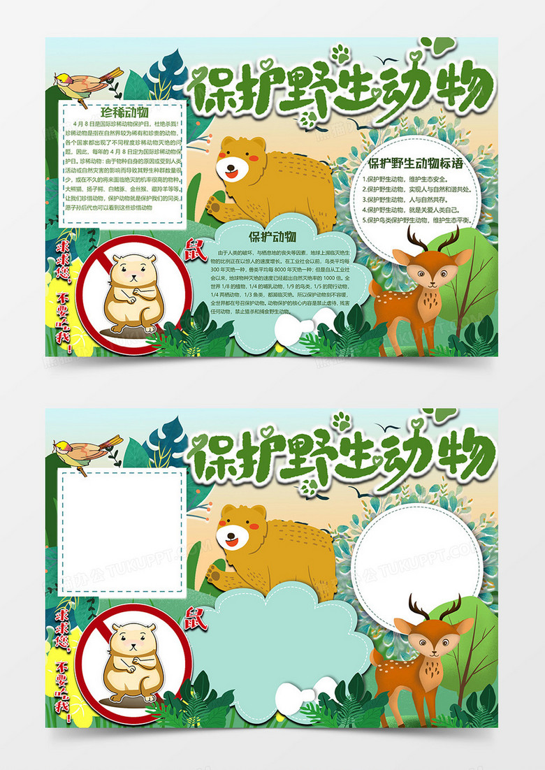 珍惜动物保护野生动物小报word模板