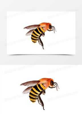 手绘水彩蜜蜂免抠素材