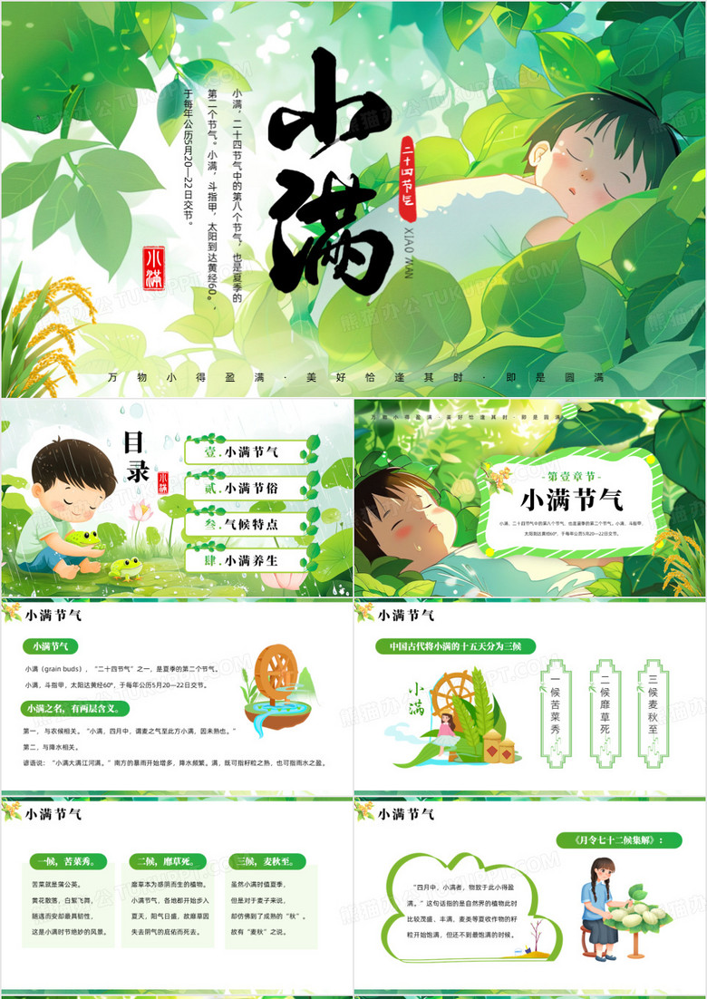 绿色插画风二十四节气之小满PPT模板