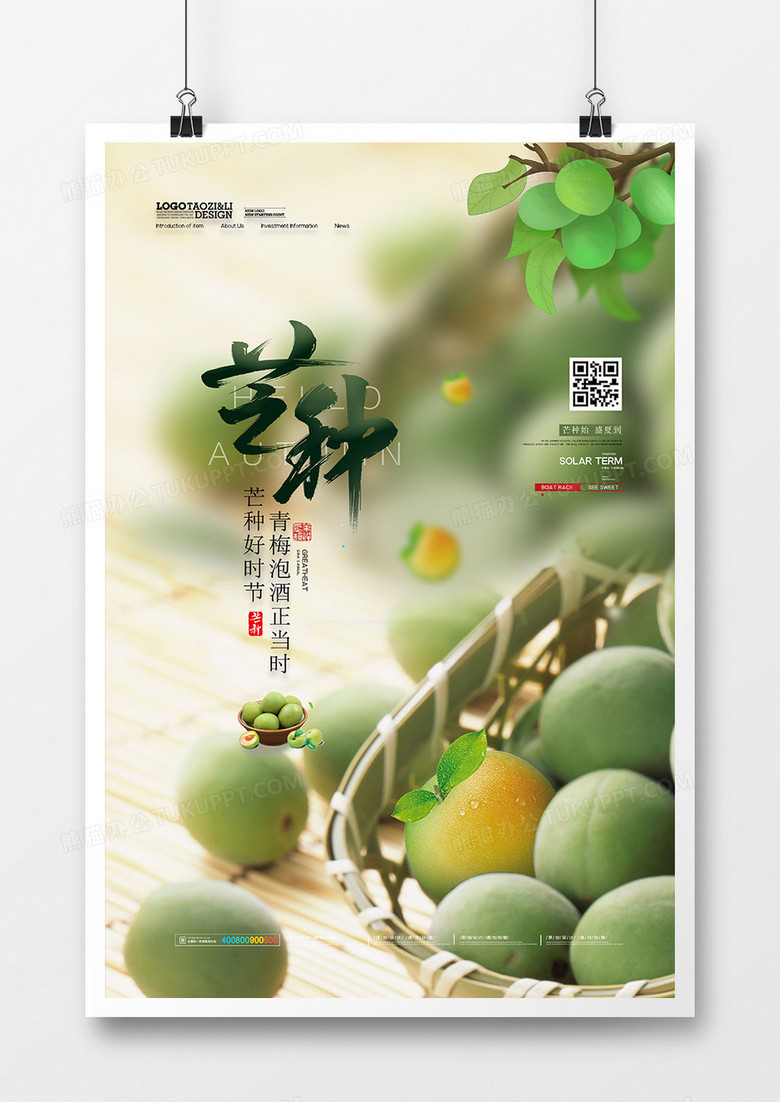 小清新青梅酿酒二十四节气芒种创意海报设计