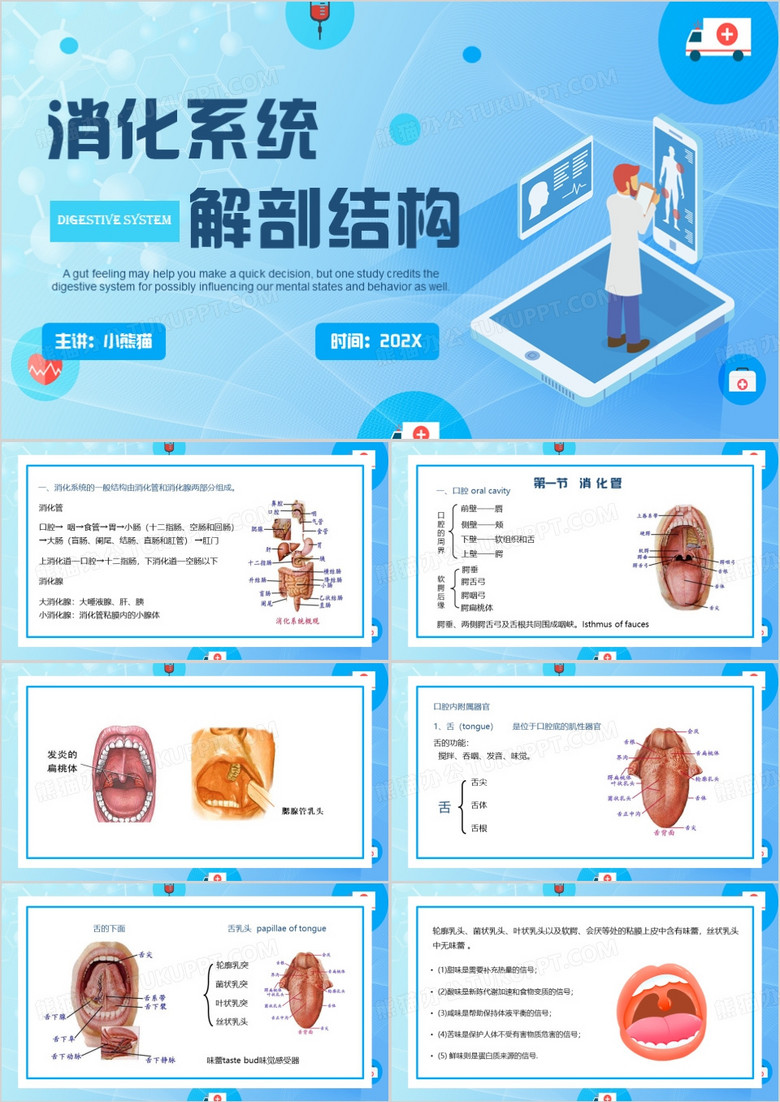 蓝色简约风人体解剖生理学PPT模板