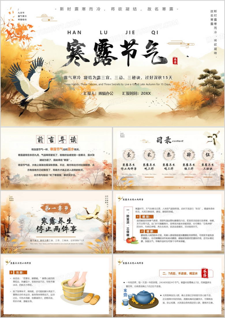 棕色中国风传统二十四节气之寒露PPT模板