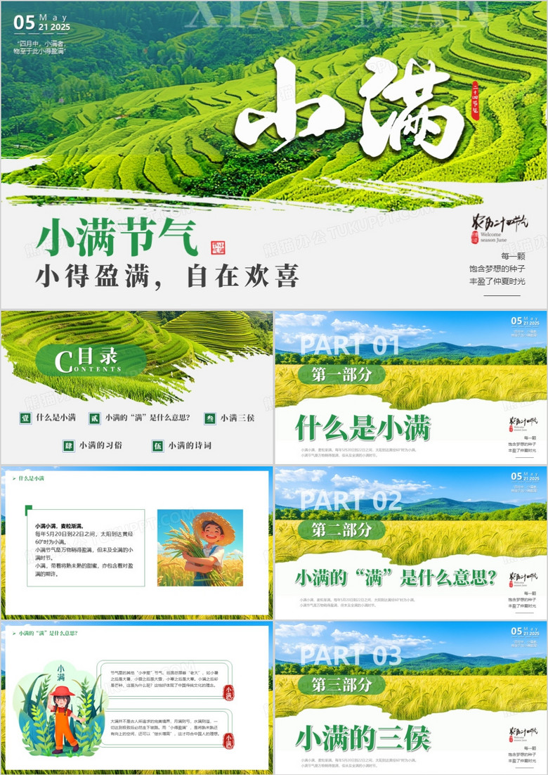 绿色插画风中国传统二十四节气之小满PPT模板