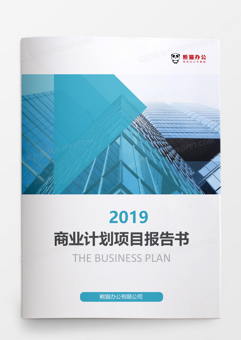2019商业计划项目报告书