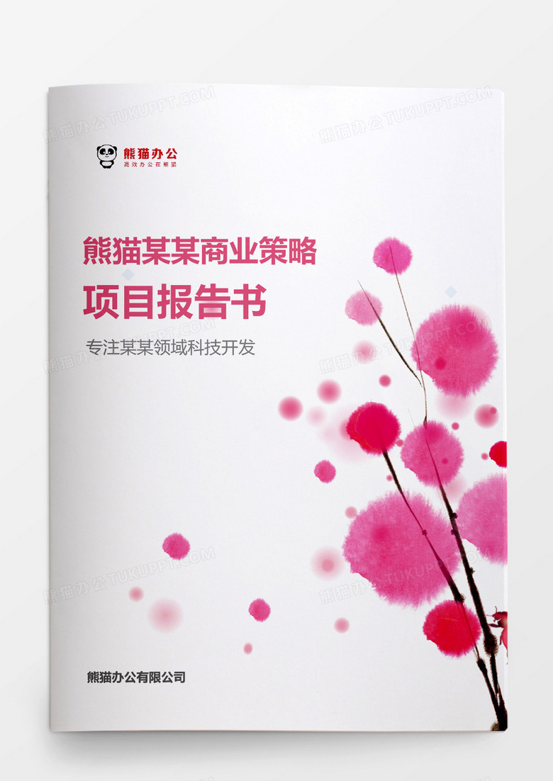 玫红商业策略项目报告书