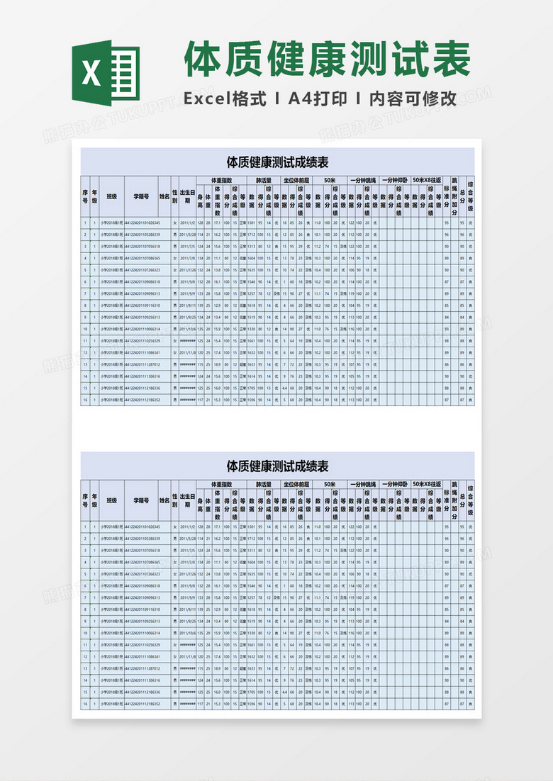 体质健康测试成绩表excel模板