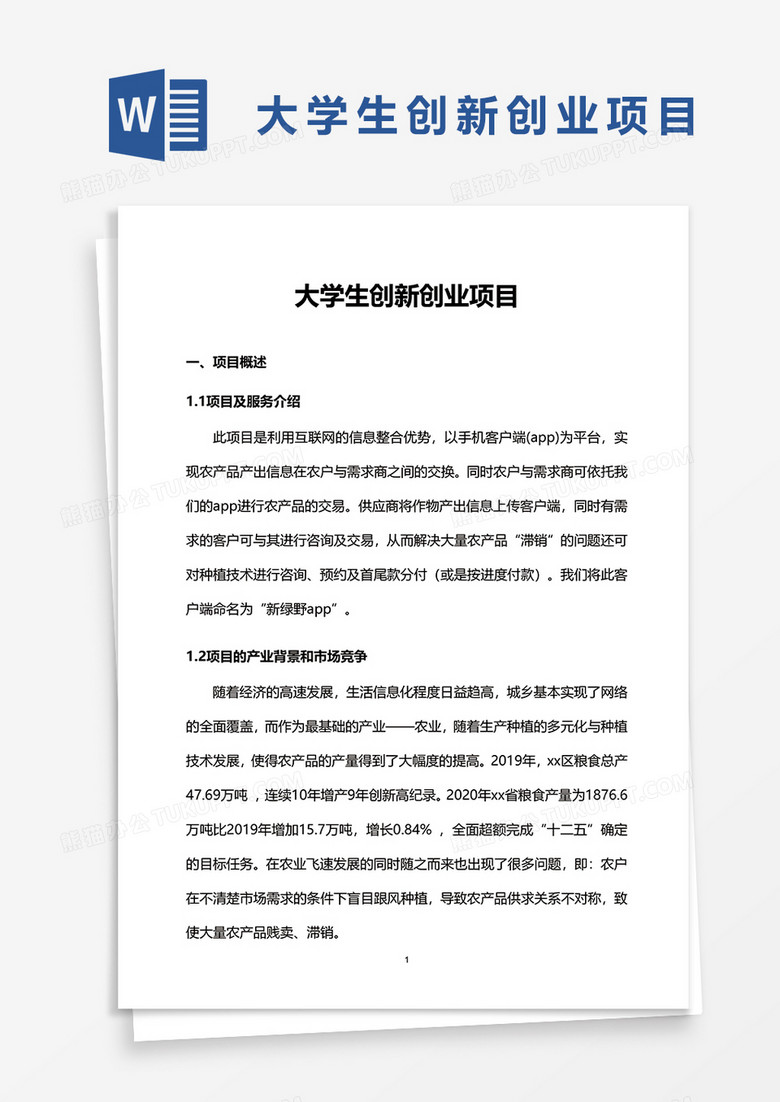 包含互联网+创新创业项目概述怎么写模板的词条