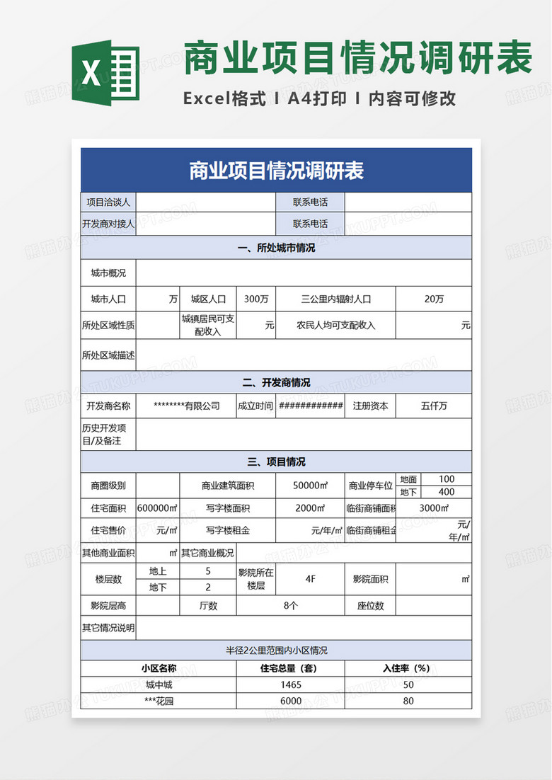 实用商业项目情况调研表excel模板