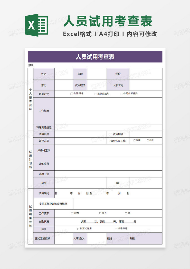 公司聘用人员试用考查表excel模板