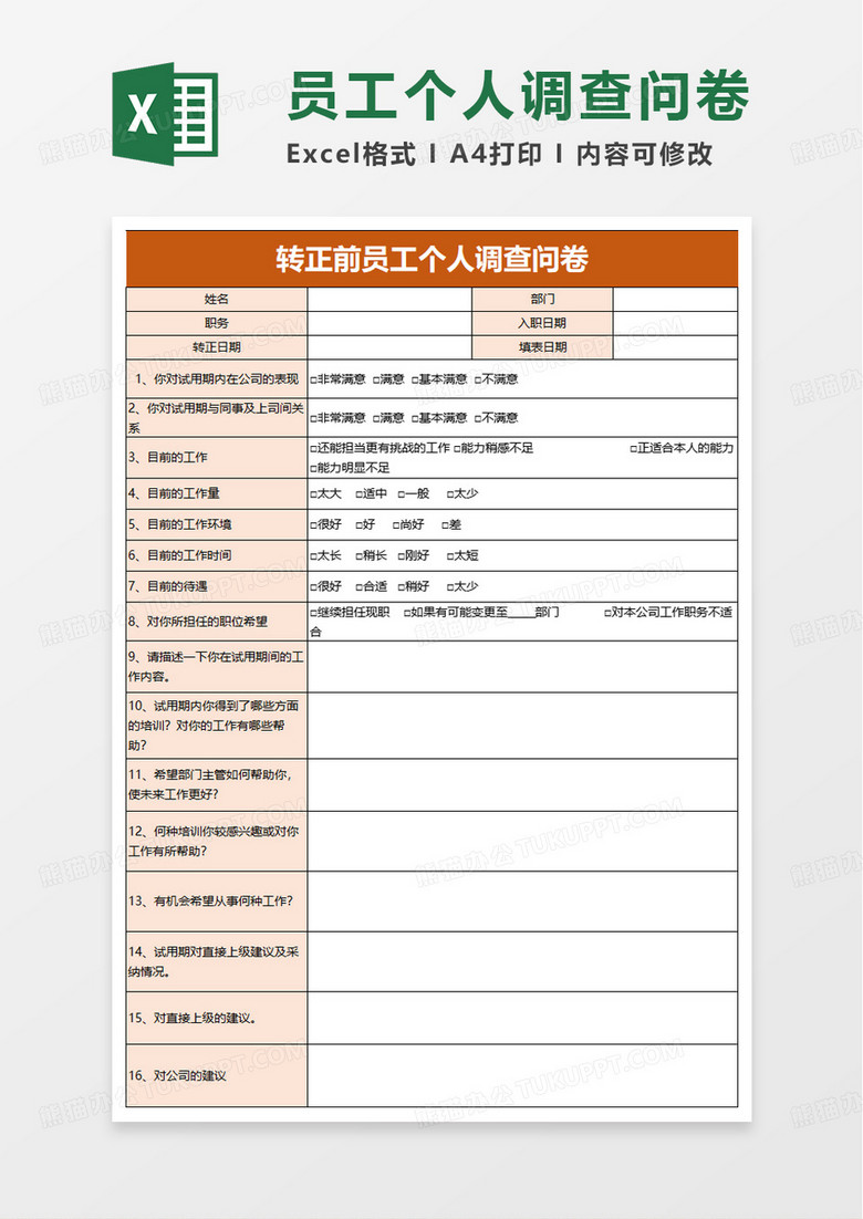 个人调查问卷excel模板