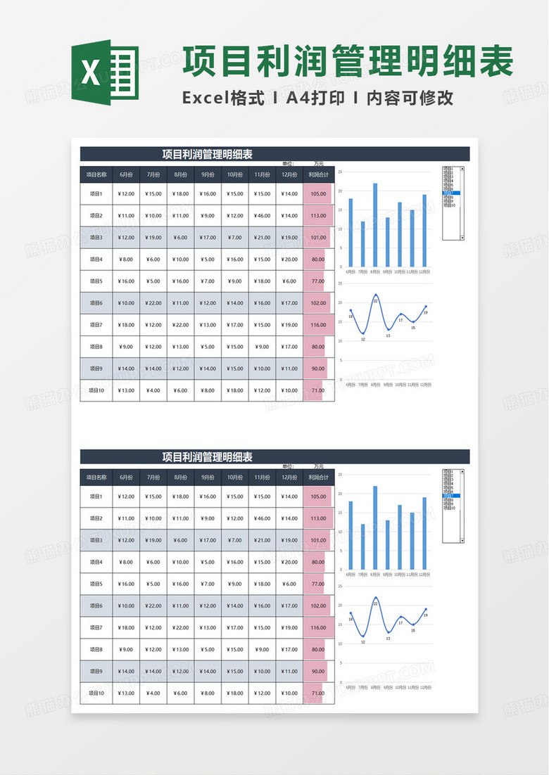 项目利润表excel模板