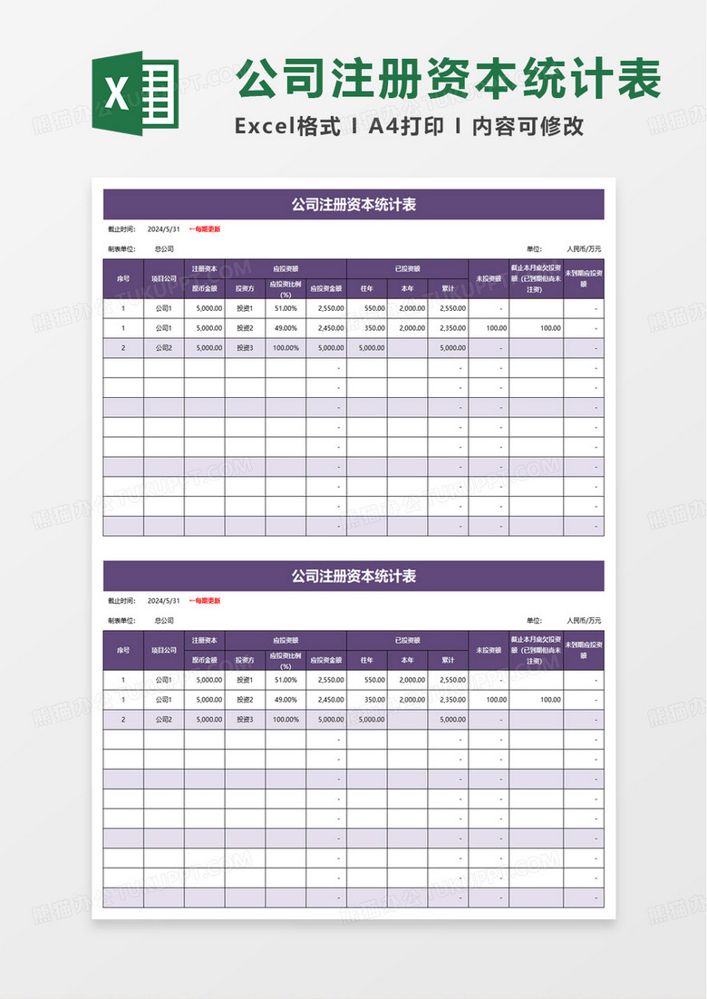 公司注册资本统计表excel模板