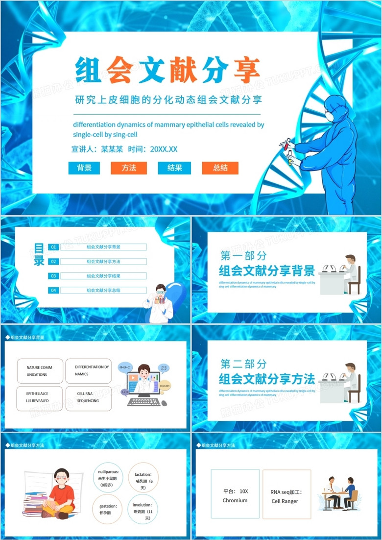 研究上皮细胞的分化动态组会文献分享动态PPT