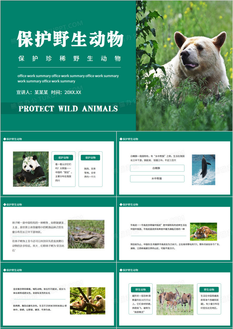 保护珍稀野生动物动态PPT模板
