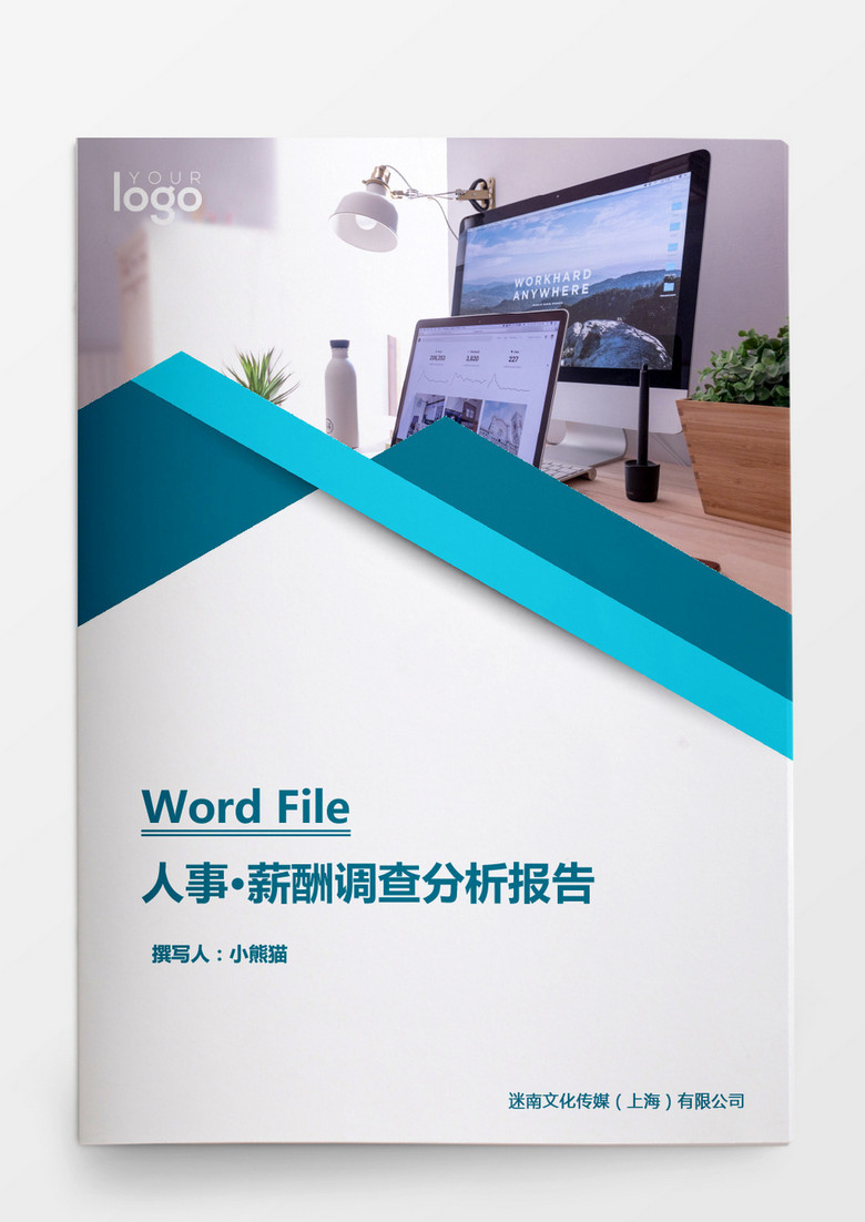 人事管理薪酬调查分析报告word文档