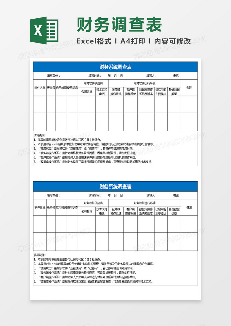 财务系统调查表excel模板