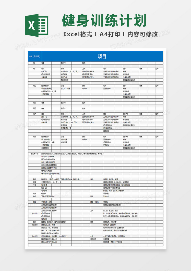 个人适合初级健身训练计划excel表