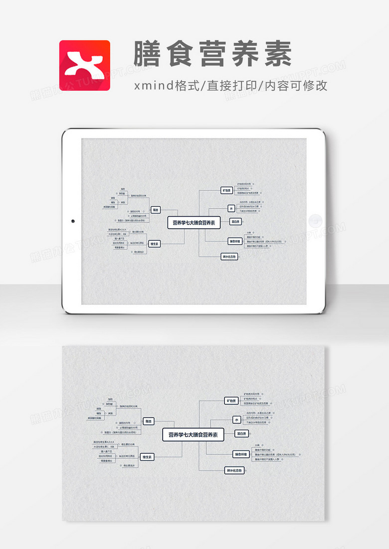 思维导图简洁膳食营养素XMind模板