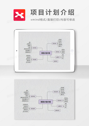 思维导图简洁项目计划介绍XMind模板