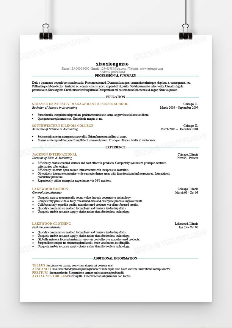 简单线条英文简约模板word简历模板