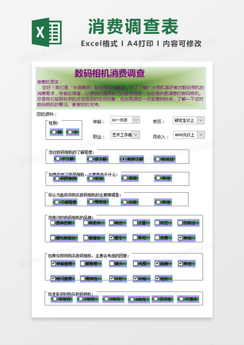 绿色创意数码相机消费调查Excel模板