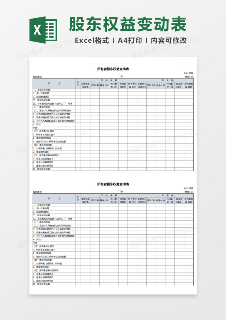 所有者股东权益变动表Excel模板