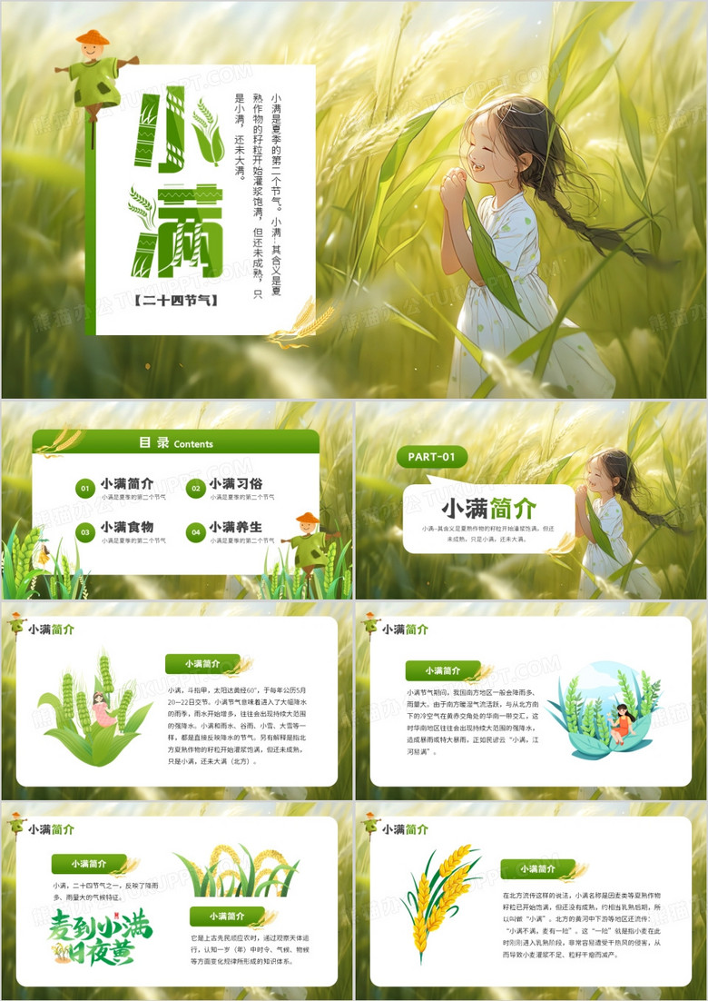 绿色插画风二十四传统小满节气PPT模板