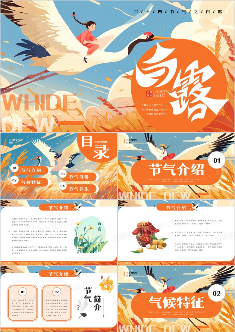 橙色插画风二十四节气之白露介绍PPT模板