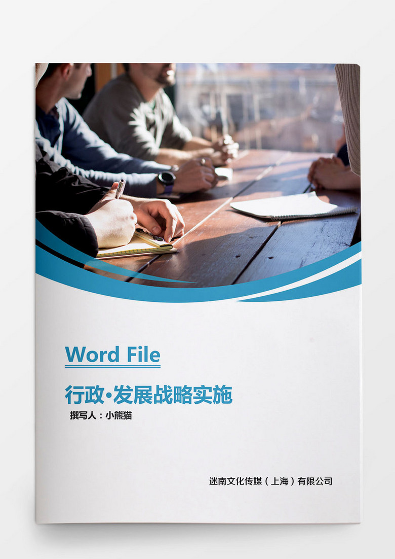 商务发展战略实施步骤大纲Word文档模板