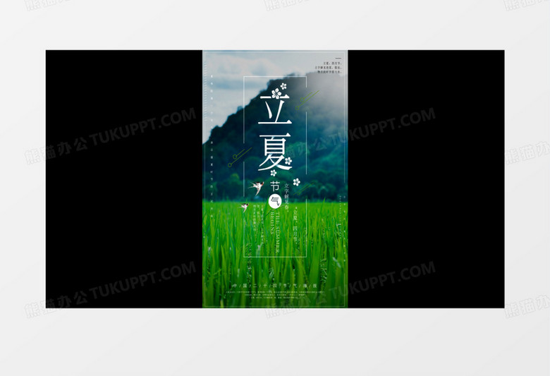 中国传统二十四节气立夏AE模板