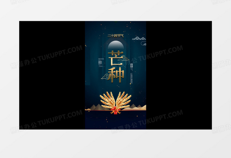 芒种原创黑金宣传ae模板