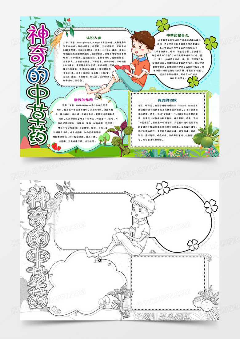 中小学生中草药的认识小报