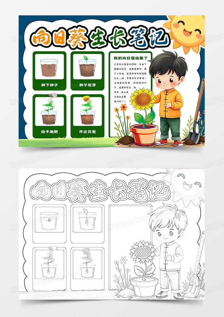 向日葵生长笔记卡通小报