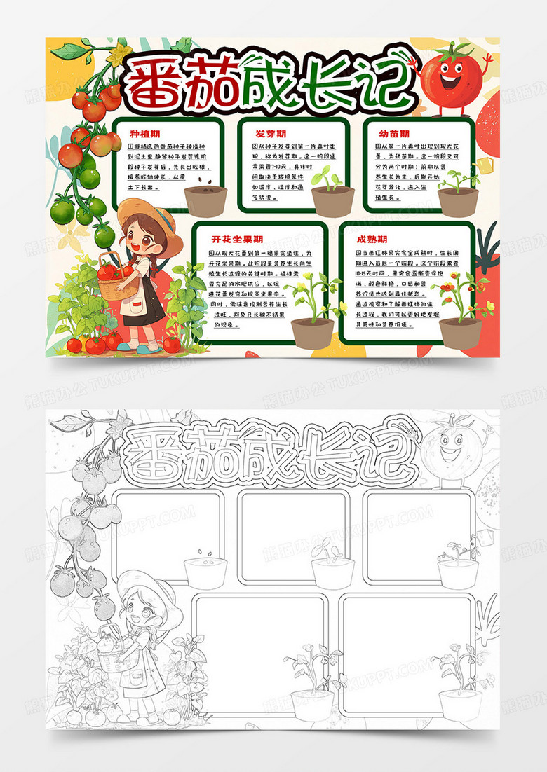 番茄成长记卡通手抄报