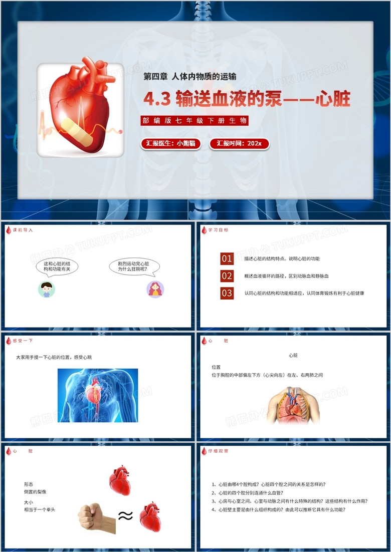 部编版七年级生物下册输送血液的泵——心脏课件PPT模板