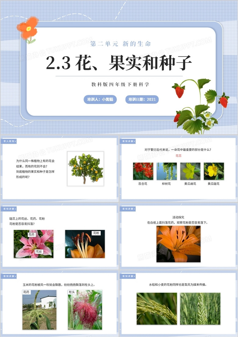 教科版四年级下册花、果实和种子课件PPT模板 
