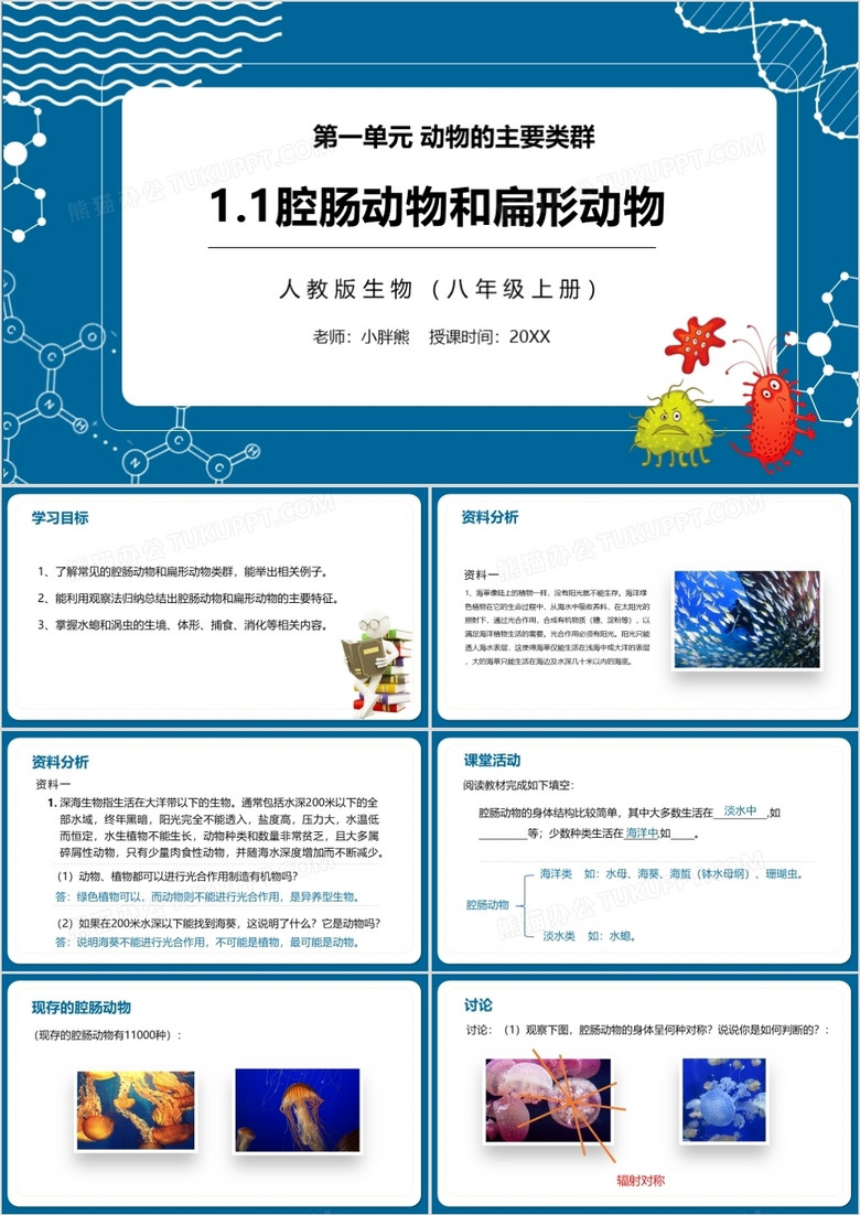 部编版八年级生物上册腔肠动物和扁形动物PPT模板