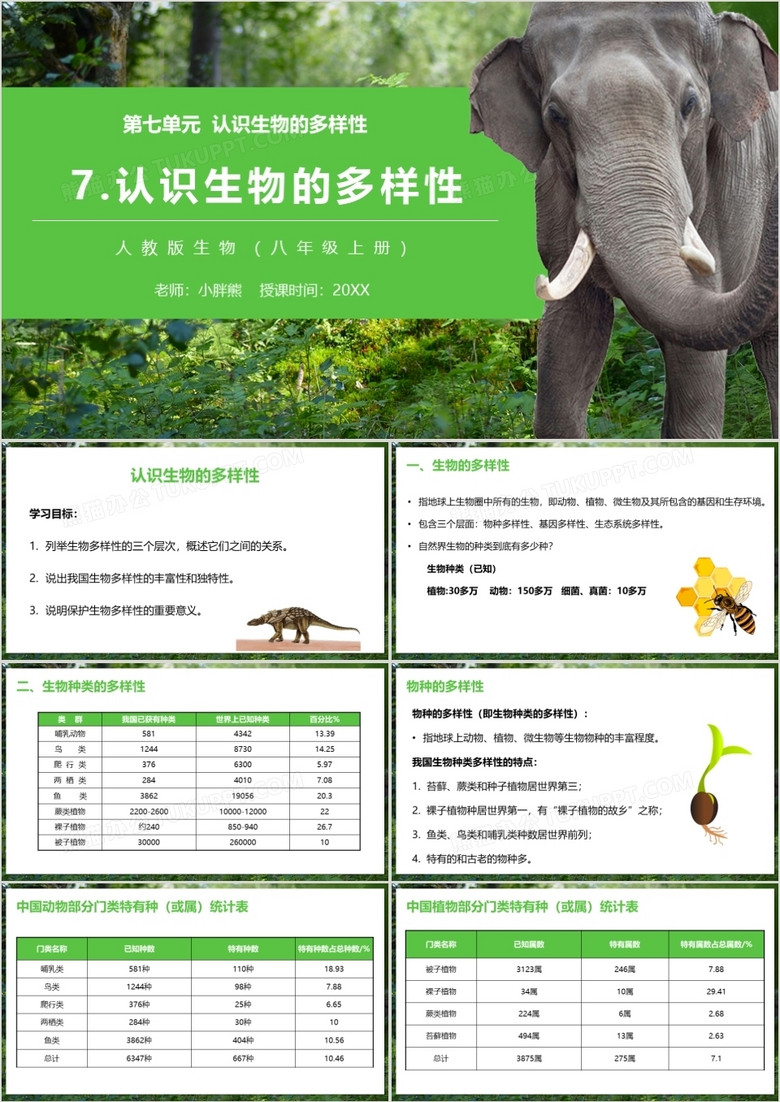 部编版八年级生物上册认识生物的多样性课件PPT模板