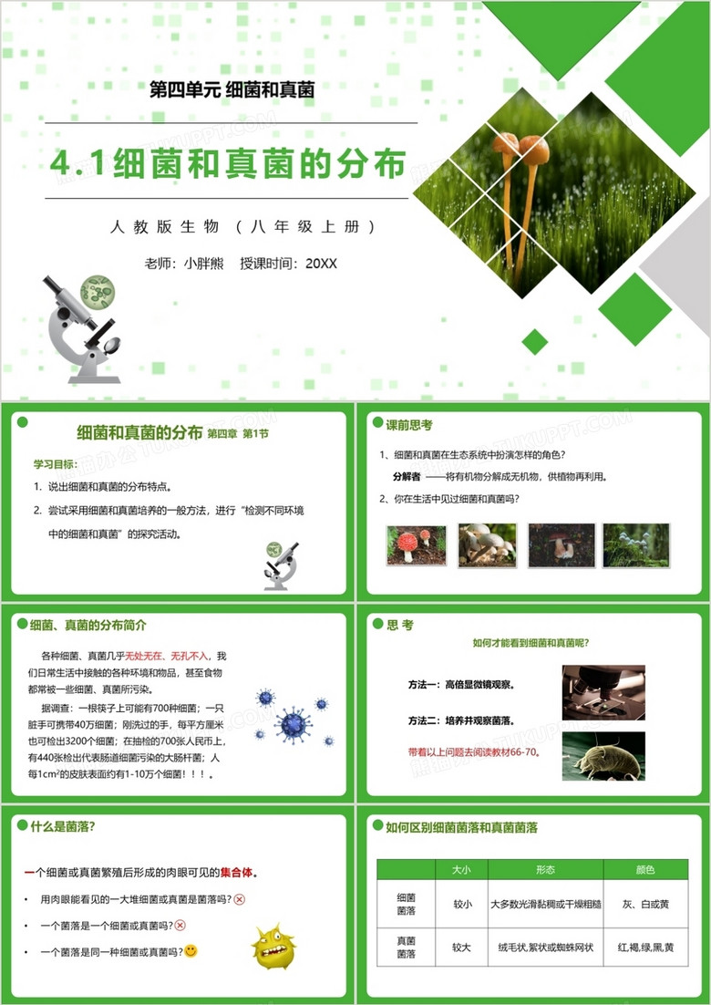 部编版八年级生物上册细菌和真菌的分布课件PPT模板