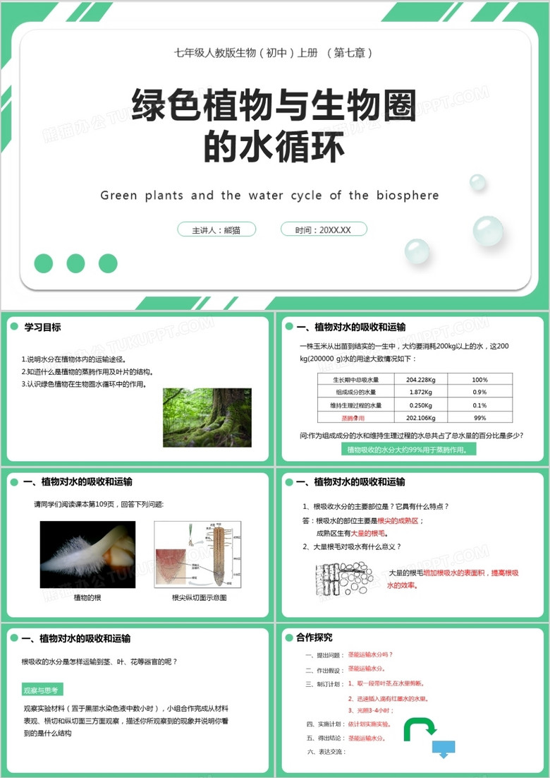 部编版七年级生物上册绿色植物与生物圈的水循环课件PPT模板