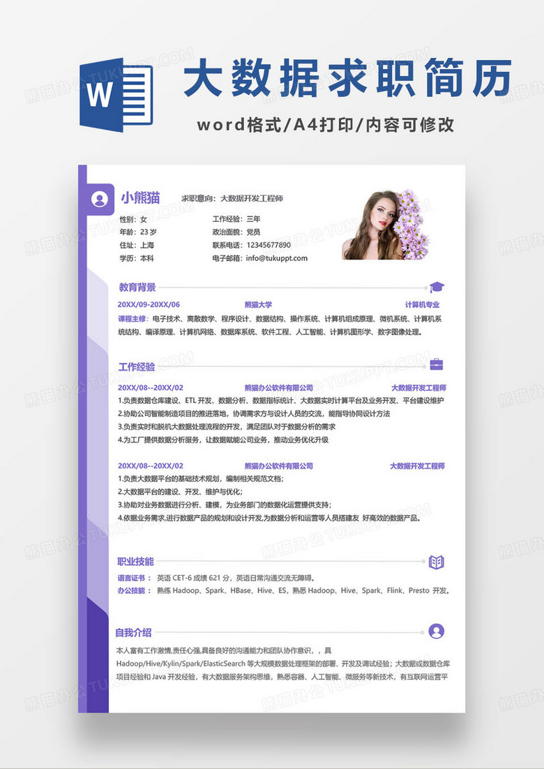 简约紫色大数据开发工程师求职简历