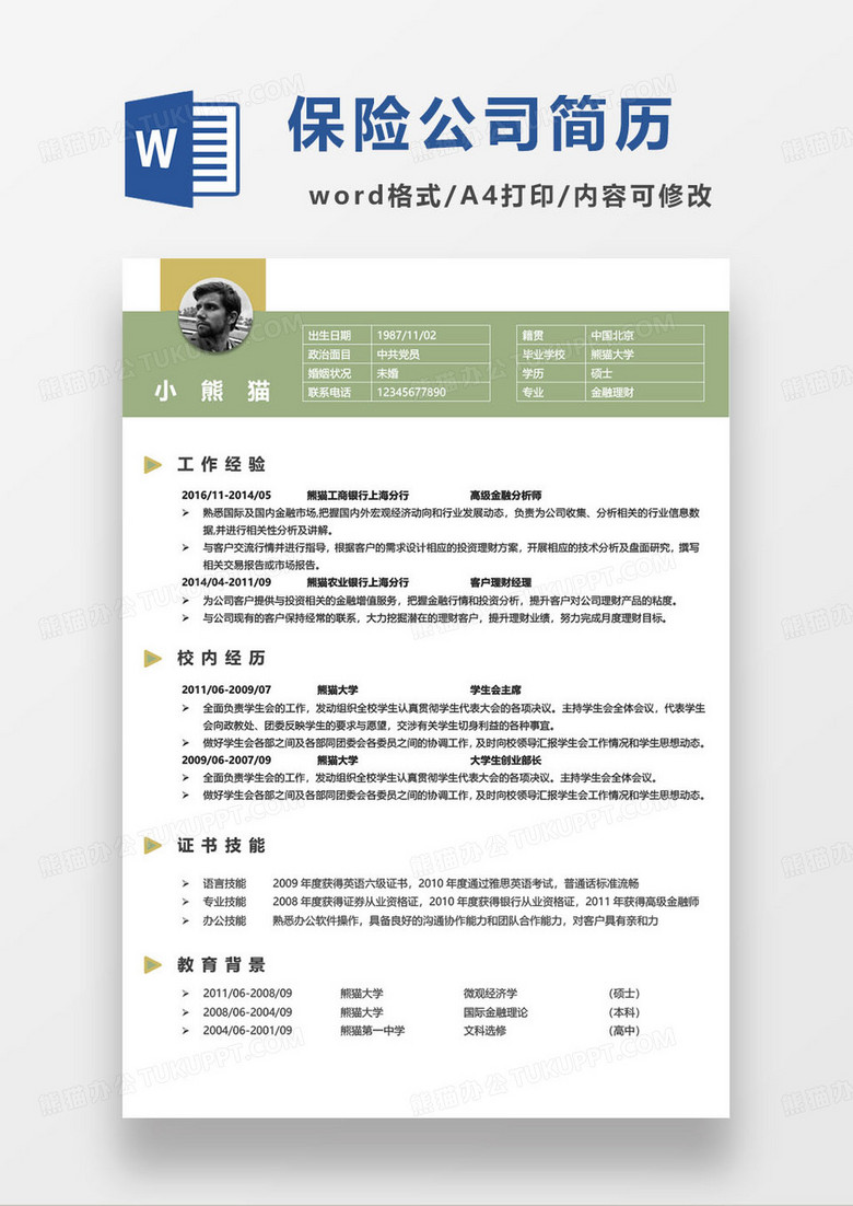 保险公司高级金融分析师求职简历模板