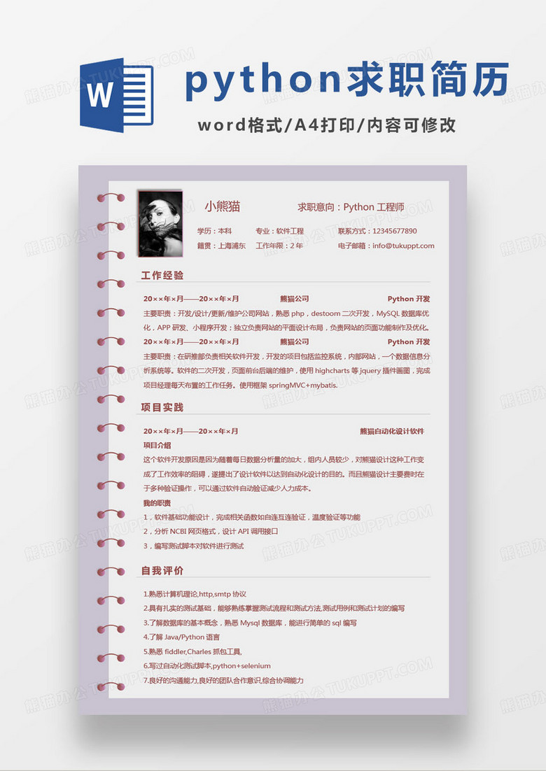 时尚活页风格python工程师求职简历